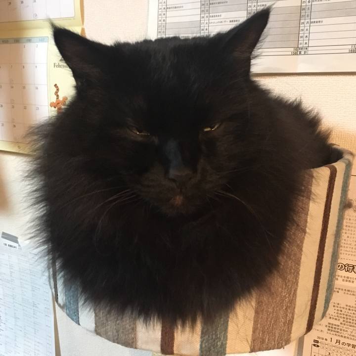 4bc1b76d a075 4394 b604 b2be951558fc 1548241133843