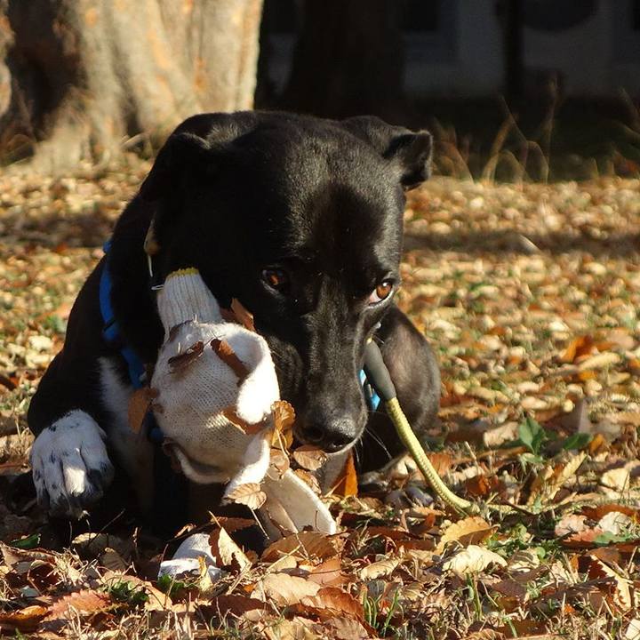 4bc1cba3 f078 406a 9c34 064f1812cf66 1605918806989