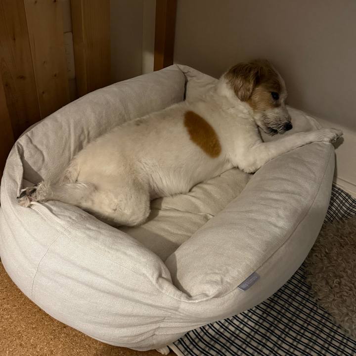 4bc1d68a 1b14 4082 9d32 bfdafb5c38c3 1761138414527