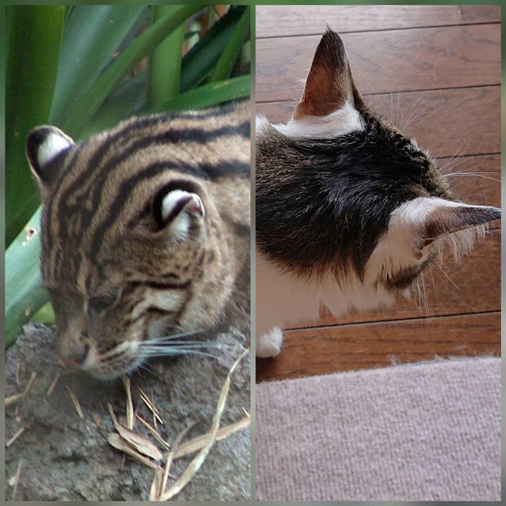 4bc1de1e 0bf1 432f be6b 47dbf45c85d5 1588567615734