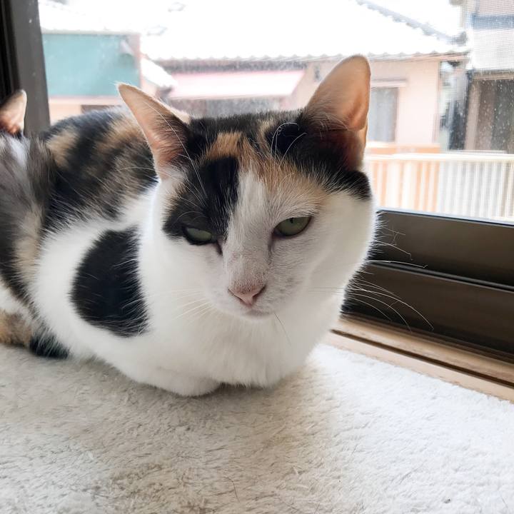 4bc1e5e9 b77d 4353 bb17 057b5406b571 1533082996274