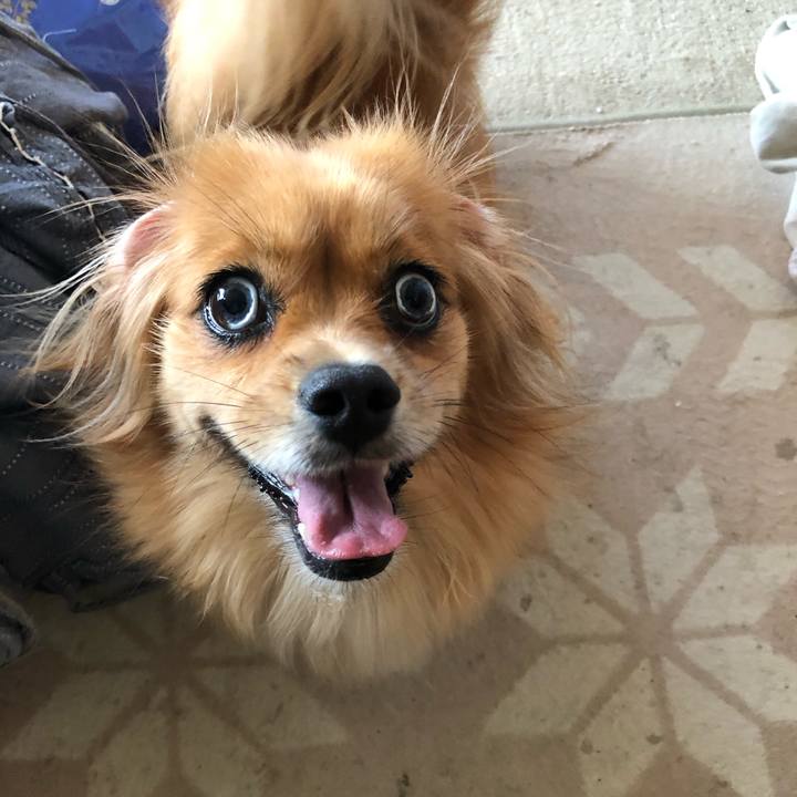 4bc1effb b0d1 4680 a760 83b4ddc2e264 1569275302479