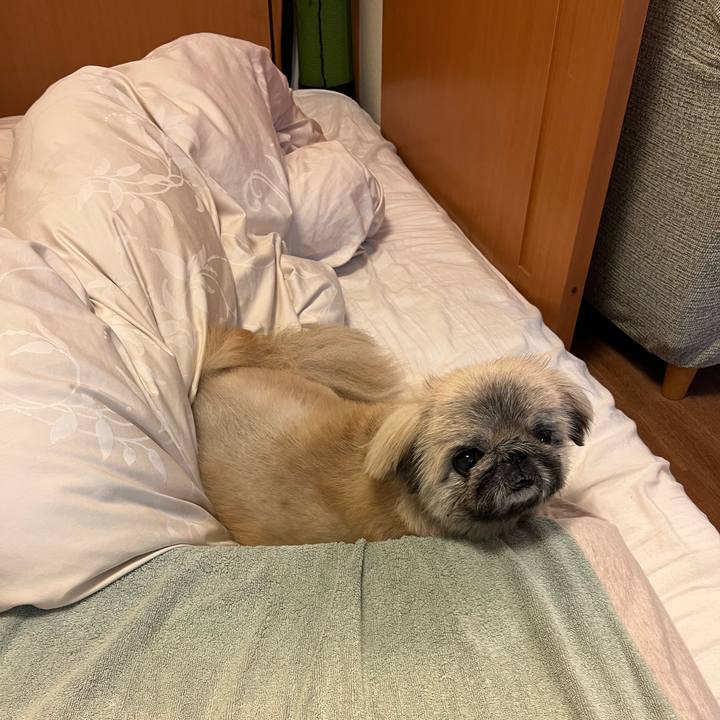 4bc1f445 47ed 4e14 9c82 c848c220f031 1748595905452