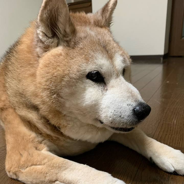 4bc227b0 394d 432d 805e b32560e95161 1651491383493