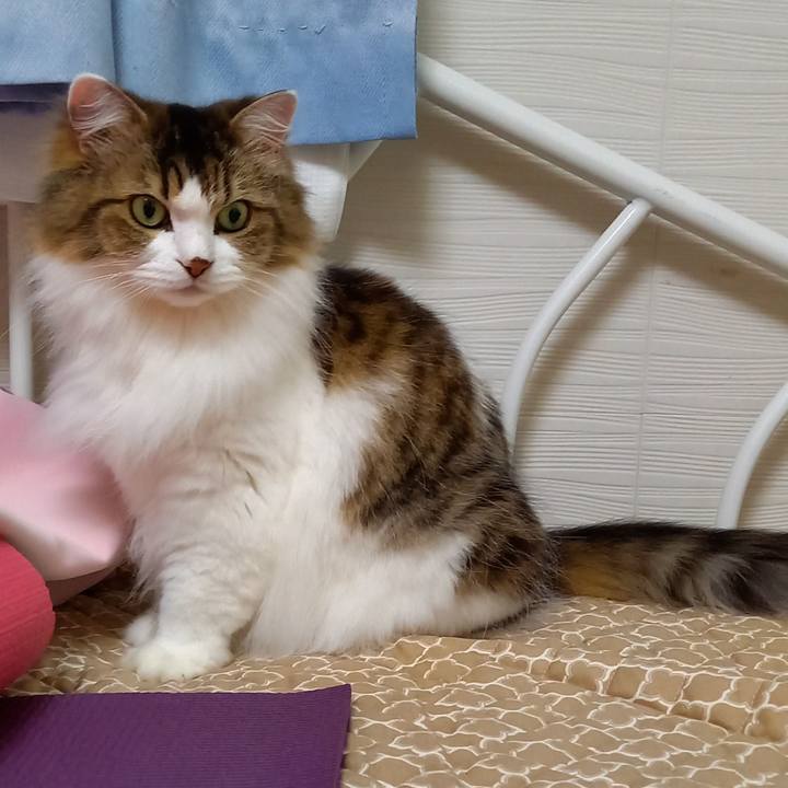 4bc235b4 8bd9 4a00 9a68 344843e04fab 1640076030590