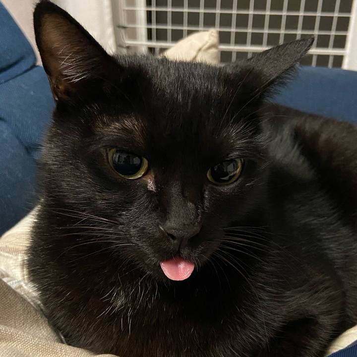 4bc2c67f 0c45 47aa b6ec 99216358cbad 1696074584748