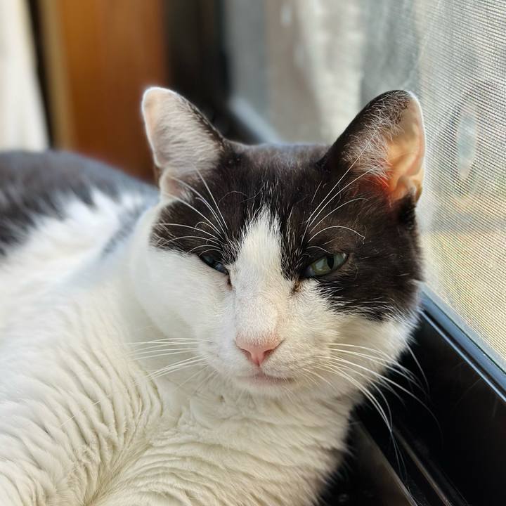 4bc2ca5f 0a04 4b4c b4a3 6a07fb445de9 1663296477188