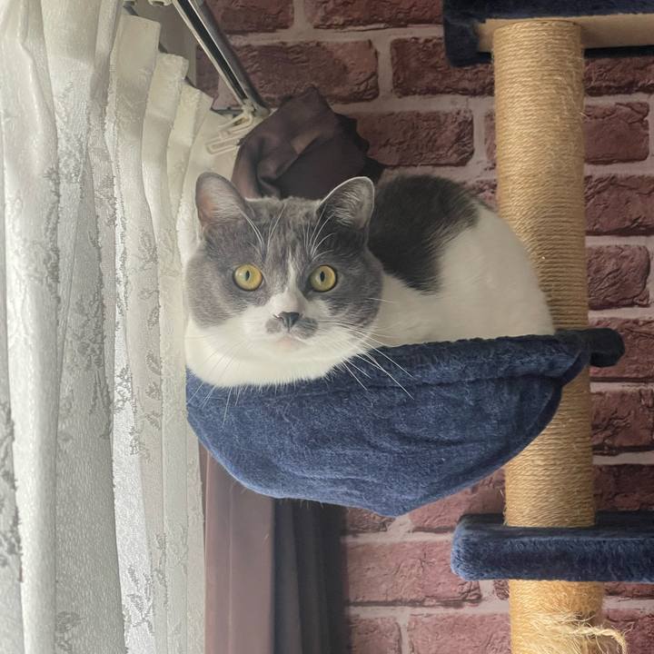 4bc2dde0 d6a4 48e7 a370 5707b72fec06 1699488837635