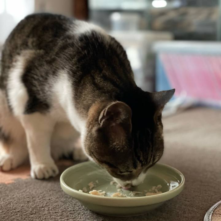 4bc2eaf5 9b2d 4b5e 807b ffb653d1ba17 1647742707665