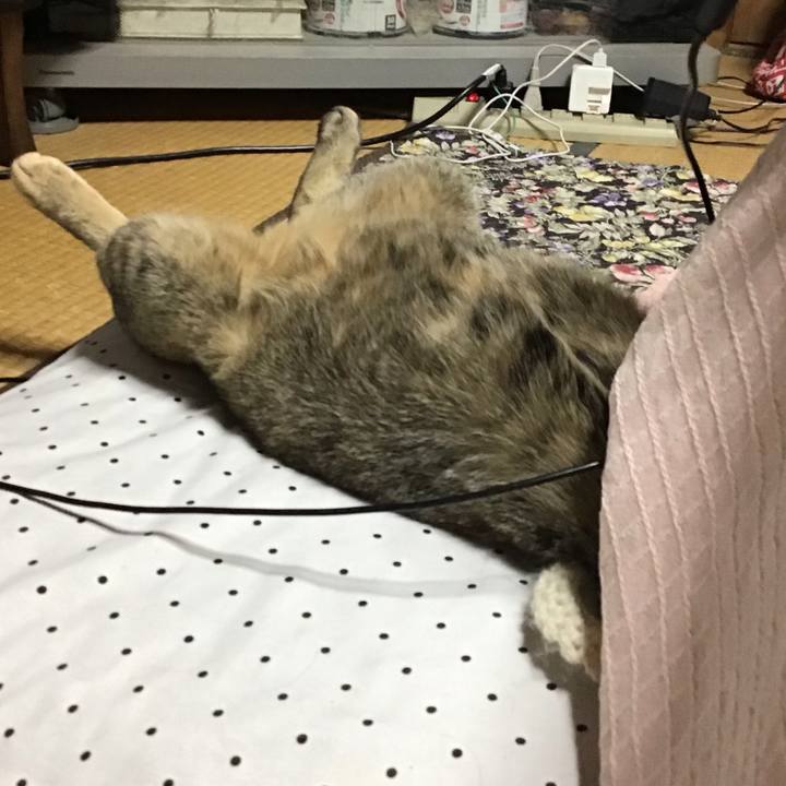 4bc2fcb7 ae65 4fe9 965b 74b65e424b06 1621941804360