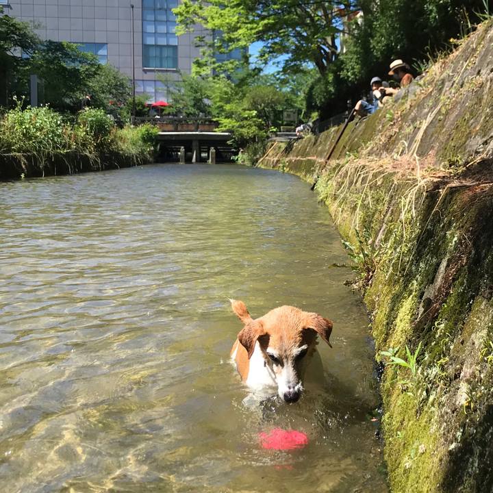 4bc34447 656a 4ff4 b6a6 bfe3009a6794 1593164395724