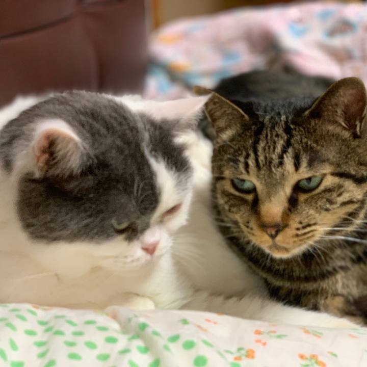 4bc3522c f109 4e4a a4c5 f451827a1fa7 1562548598111