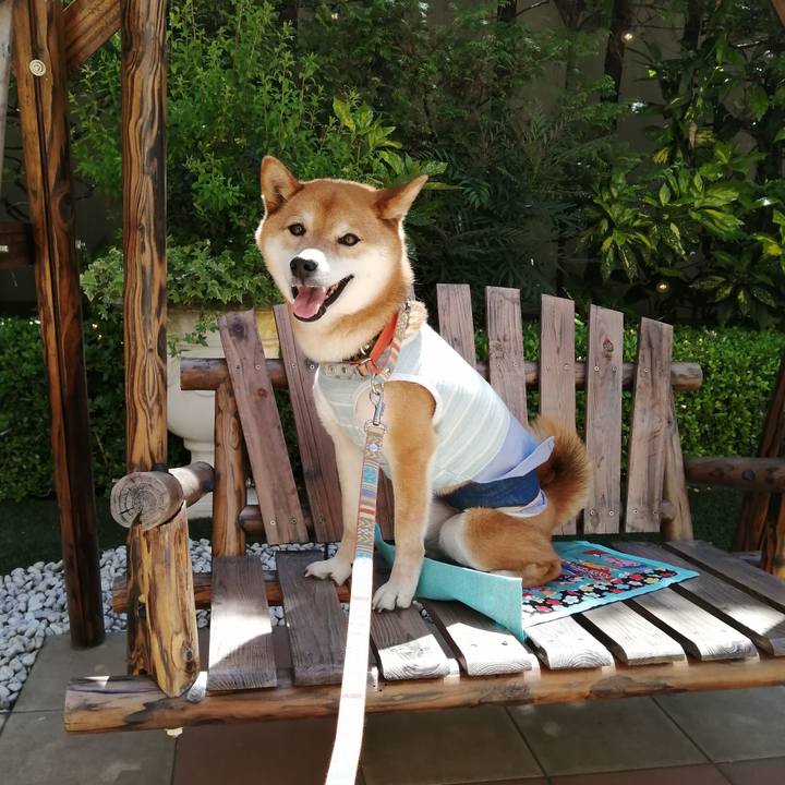 4bc38551 e774 493c 9102 f75e73e9ef39 1619080139030