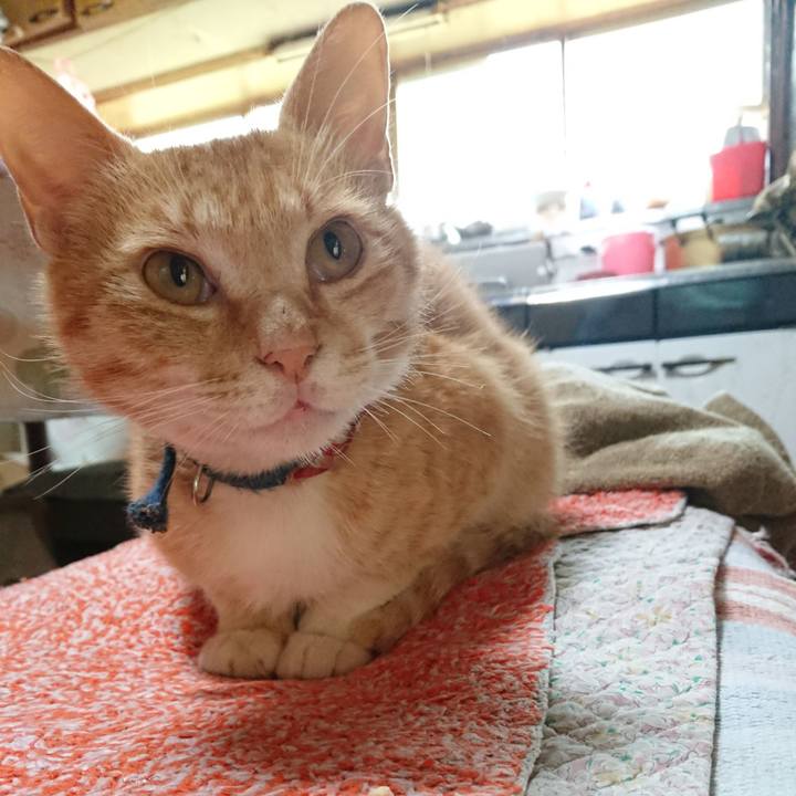 4bc3b95d 28f8 4f89 b037 666dd020fcc1 1560721644341