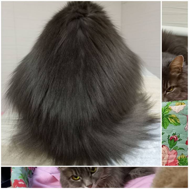 4bc3ca3b 9c1d 4505 965b fab83028a552 1615765819807