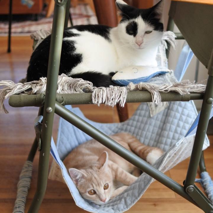 4bc3d2b0 f989 4fc9 bd9c 82c2cb3c1a22 1551278206533