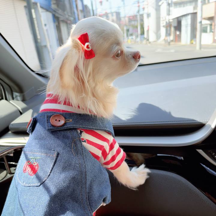 4bc409ec 7132 424d a1c1 62c993e48227 1710575097798