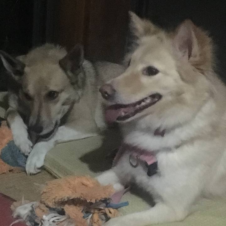 4bc48497 d242 43c9 bd20 d78b66bdc9e1 1526944662447