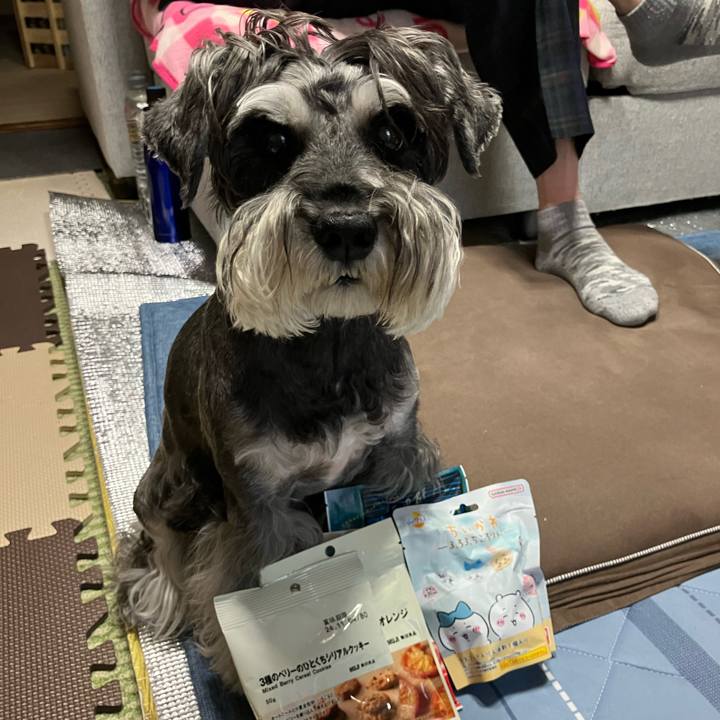 4bc49bb3 d8ca 4417 b30d e9d2374007cb 1722864992725