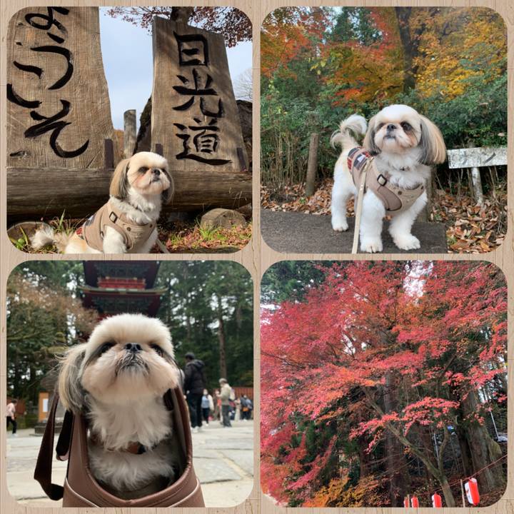 4bc4a832 d712 482c 9254 3ec2b5c9ab60 1637526943779