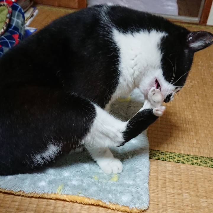 4bc4d22c dff7 49b9 8999 bc5b8adb1941 1541509146812