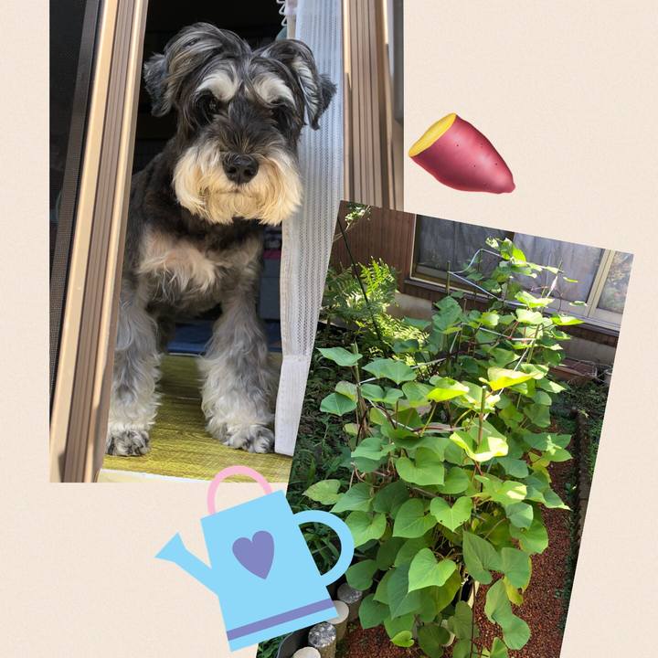 4bc4fd82 1428 4c5d 923d 836e2b434489 1664082641495