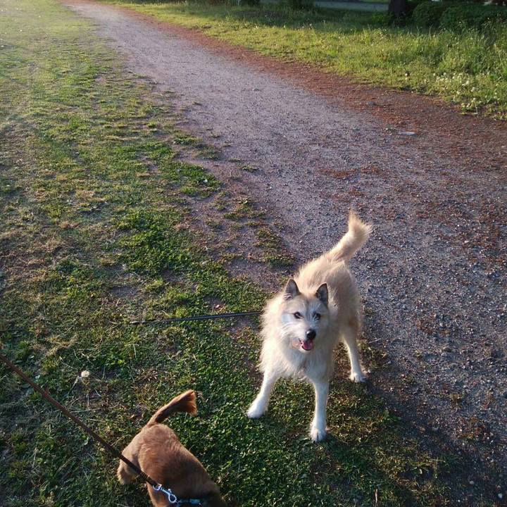 4bc5258c 82af 47a3 a956 ba3349f9a751 1524910171033