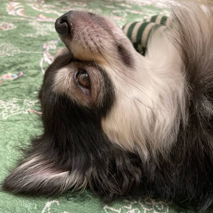 4bc5ae2a 72f3 4db3 a83f 031d7b6ad088 1662867695061