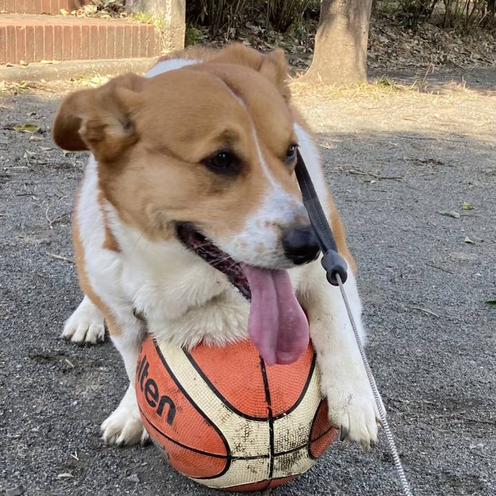 4bc5d1e8 2a83 4d82 b0a5 0507dbcf6ebe 1710473725556