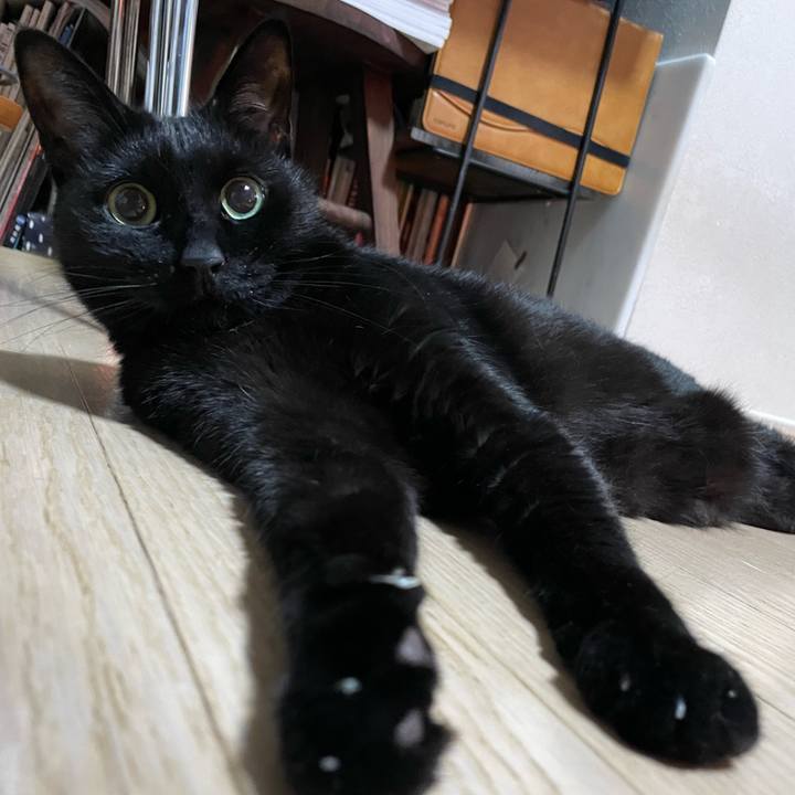 4bc5d682 d974 48c8 88b1 dec1a75419d4 1737725050383