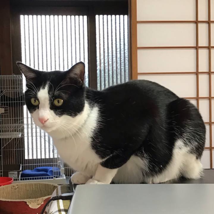 4bc5f627 9b76 4469 a2ac 9b6ffa3675e2 1709292405176