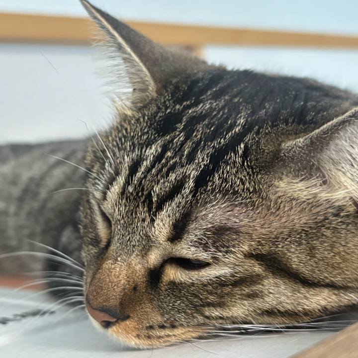 4bc6278e 52cb 458e baed 43a4ff0f6be7 1757726391067