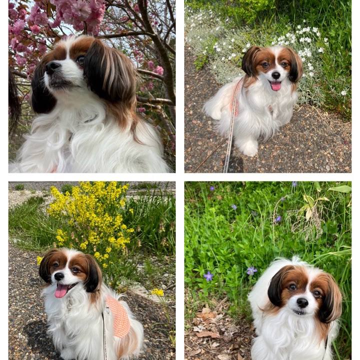 4bc639eb 89f4 46b1 9183 dcda3d168a39 1747209435717