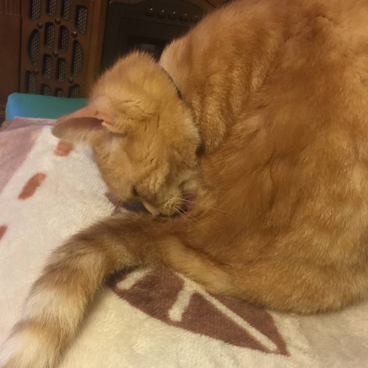 4bc65091 a006 4212 803f 920835d5db2f 1553159494033