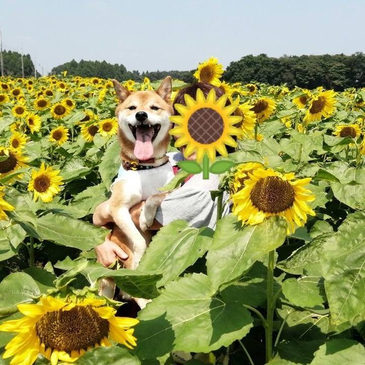 4bc6ab9a 0bd1 47fa 9d92 8c0e6649e680 1597473086702