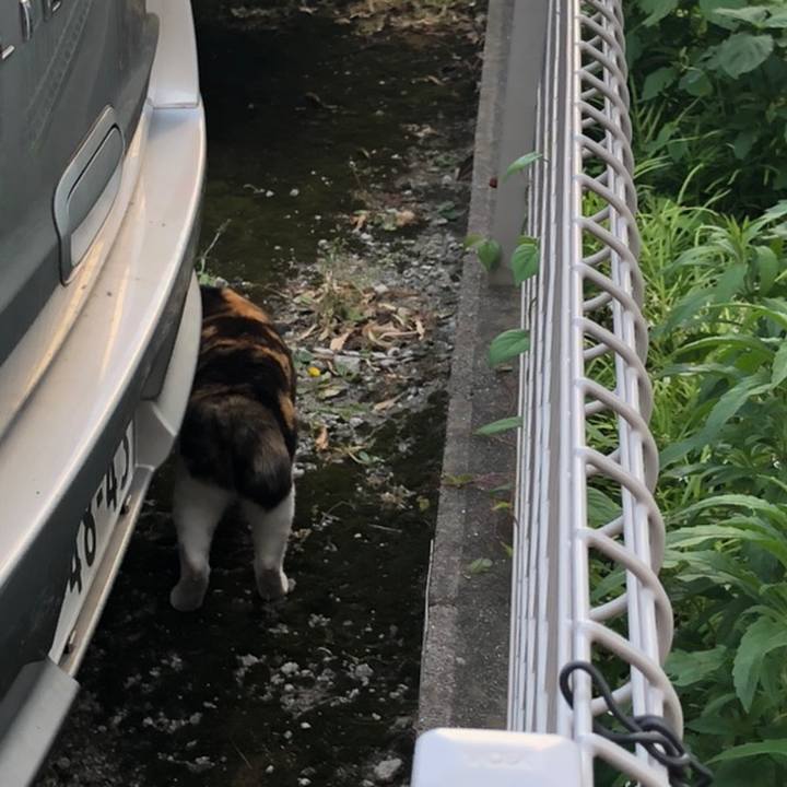 4bc6f0bd 92f2 41e2 a9ef 99c3082e93ee 1558694021488