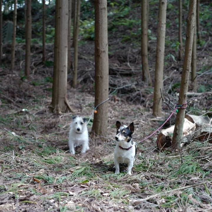 4bc7248d 0f04 433a a976 bff48384cf12 1521439058008