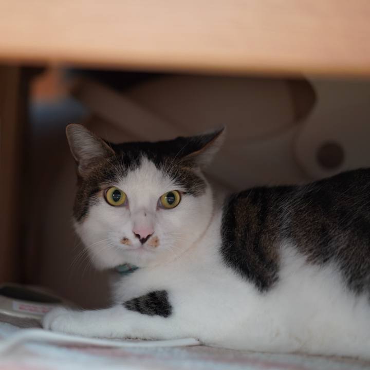 4bc72a79 333a 44e6 af95 1f93c4533561 1627310958663