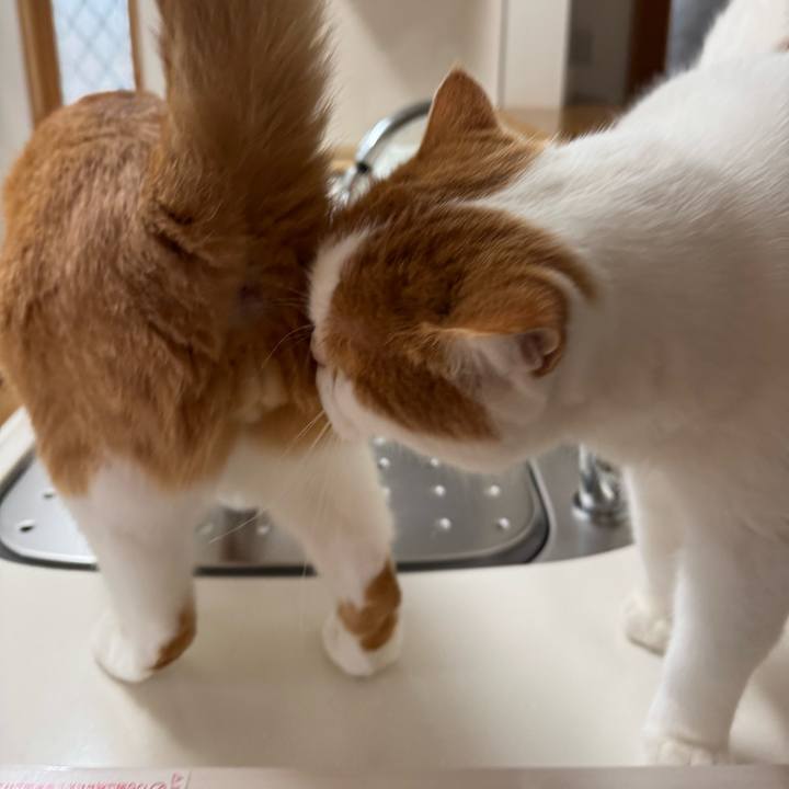 4bc72be3 de8d 4847 b7e5 3bb1a7c70628 1763432524528