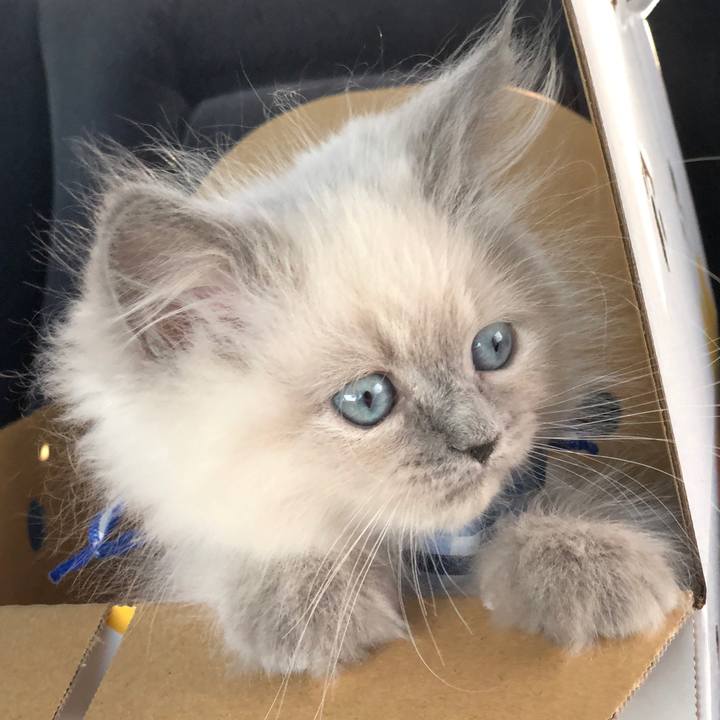 4bc730da cb83 41da 9572 0d0ad8b39772 1518344429172