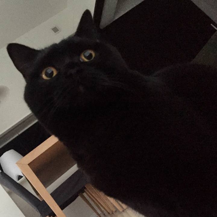 4bc74e62 d67a 45a5 860a c64419d9e881 1545967988052