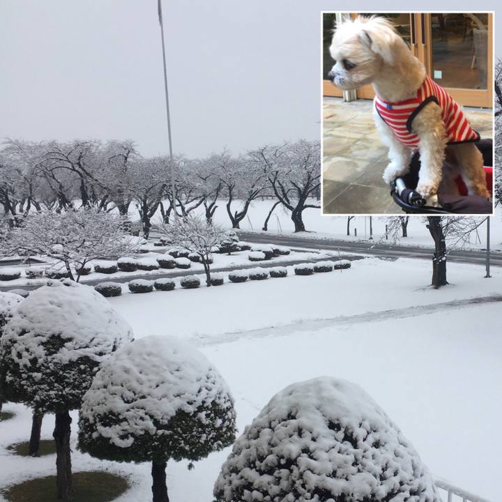 4bc7796b 5c4b 4cb6 aed7 c7a384a9b5f1 1522840390261