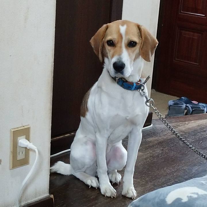 4bc78277 5f83 4c58 91be 65fb0ae56b2a 1610288923057