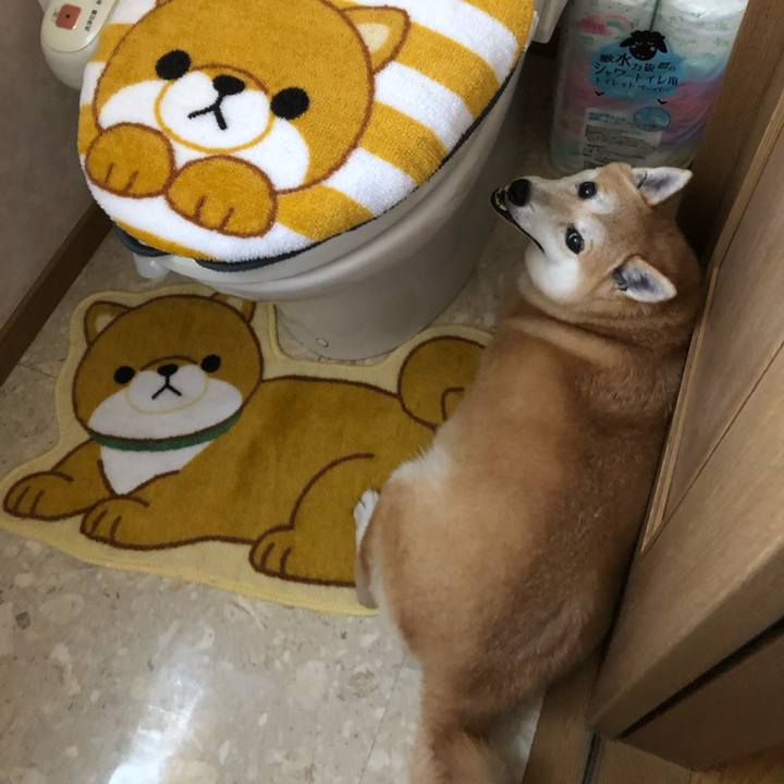 4bc788e5 aa09 4271 b370 b483d567ec86 1564495126962