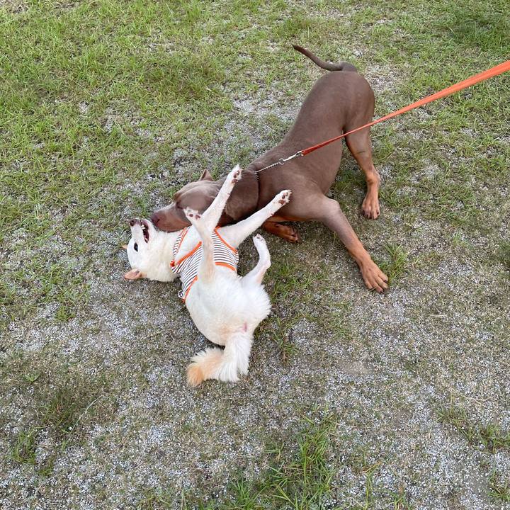 4bc791da 6fe5 4664 8342 6beb43570821 1658670962676