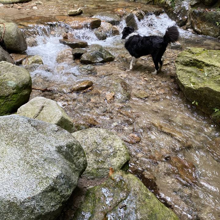 4bc7a181 3484 4fc9 a096 4ad6114182d2 1595230217001