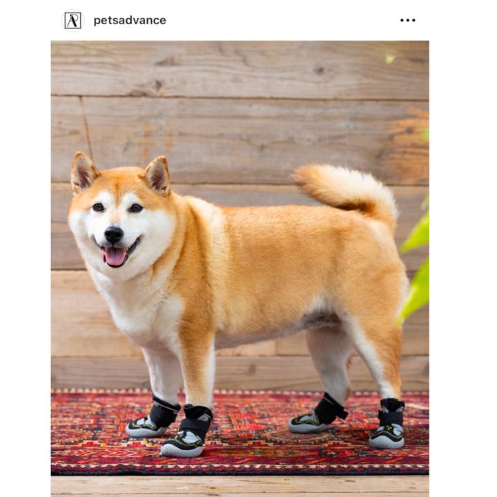 4bc7ccfe 3866 4cd0 aa5a 1bff6e4b5a66 1740319728425