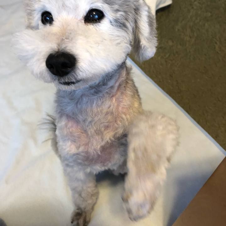 4bc8178a 5f83 4bfd a09a fcb22952768e 1534721437538