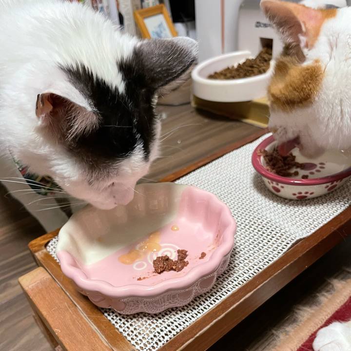 4bc842c9 778c 4b88 8c47 5f92b28bec6d 1654943862050