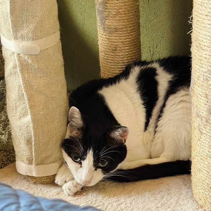 4bc89407 8e29 4d8d 8418 dfbfb3cff6e5 1724806137533